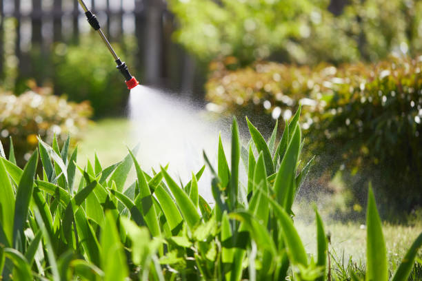 24/7 Emergency Wasp Removal experts in Seaman, OH
