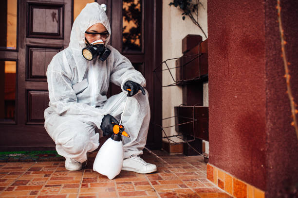 Reliable Wasp Removal contractor in Seaman, OH by Show Me Pest Control